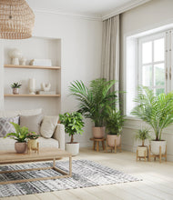 Load image into Gallery viewer, Sandy stand:four_stands