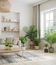 Load image into Gallery viewer, Woodland