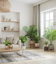 Load image into Gallery viewer, Woodland stand:four_stands