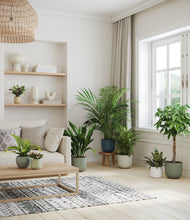 Load image into Gallery viewer, Earthy