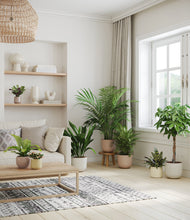 Load image into Gallery viewer, Sandy