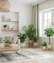 Load image into Gallery viewer, Sandy stand:six_stands