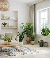 Load image into Gallery viewer, Woodland