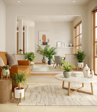 Load image into Gallery viewer, Earthy stand:four_stands