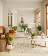 Load image into Gallery viewer, Sandy stand:four_stands