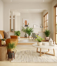 Load image into Gallery viewer, Woodland stand:four_stands