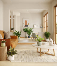 Load image into Gallery viewer, Earthy