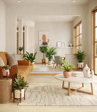 Load image into Gallery viewer, Evening Sky stand:four_stands