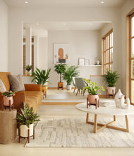 Load image into Gallery viewer, Evening Sky stand:six_stands