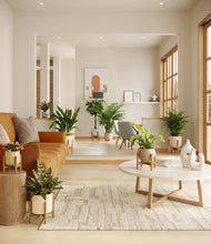 Load image into Gallery viewer, Sandy stand:six_stands