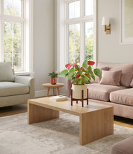 Load image into Gallery viewer, Blush Ivory stand:one_stand