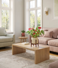 Load image into Gallery viewer, Blush Ivory stand:two_stands