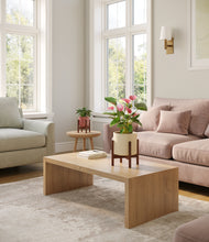 Load image into Gallery viewer, Blush Ivory stand:two_stands