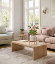 Load image into Gallery viewer, Peach Frost stand:two_stands