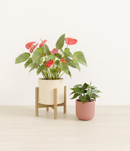 Load image into Gallery viewer, Rose Linen stand:one_stand