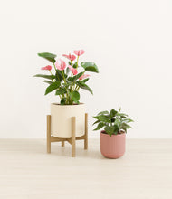 Load image into Gallery viewer, Rose Linen stand:one_stand