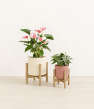 Load image into Gallery viewer, Rose Linen stand:two_stands