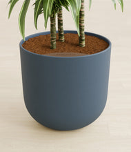 Load image into Gallery viewer, Iron Gray stand:all