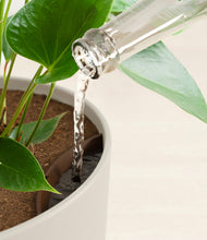 Load image into Gallery viewer, Natural Bamboo stand:all