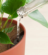 Load image into Gallery viewer, Earth Red stand:all