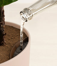 Load image into Gallery viewer, Sandy Pink stand:all