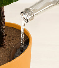 Load image into Gallery viewer, Sunset Orange stand:all