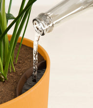 Load image into Gallery viewer, Sunset Orange stand:all