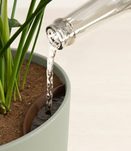 Load image into Gallery viewer, Sage Green stand:all