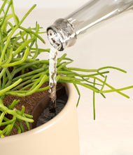 Load image into Gallery viewer, Almond Green stand:all