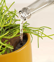 Load image into Gallery viewer, Mustard stand:all