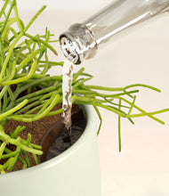 Load image into Gallery viewer, Turquoise stand:all