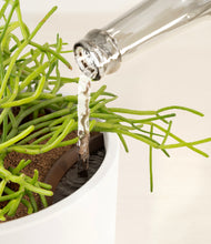 Load image into Gallery viewer, White stand:all