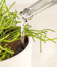 Load image into Gallery viewer, Cream stand:all