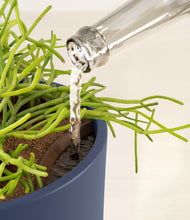 Load image into Gallery viewer, Deep Navy stand:all