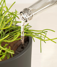 Load image into Gallery viewer, Dark Olive stand:all