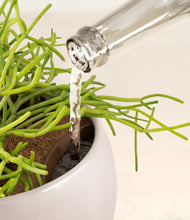 Load image into Gallery viewer, Winter Clouds stand:all