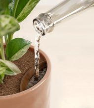 Load image into Gallery viewer, Hammered Peach Pink stand:all