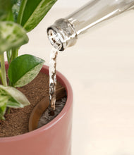 Load image into Gallery viewer, Hammered Rose Pink stand:all