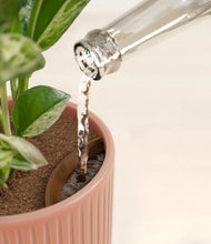 Load image into Gallery viewer, Striped Rose Pink stand:all