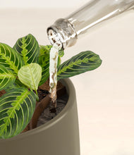 Load image into Gallery viewer, Olive stand:all