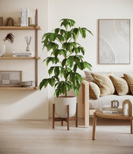 Load image into Gallery viewer, Natural Bamboo stand:walnut