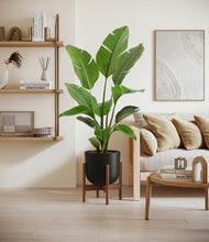 Load image into Gallery viewer, Stone Black stand:walnut