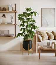 Load image into Gallery viewer, Stone Black stand:bamboo