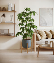 Load image into Gallery viewer, Iron Gray stand:bamboo