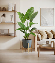 Load image into Gallery viewer, Iron Gray stand:bamboo