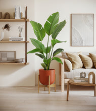 Load image into Gallery viewer, Earth Red stand:bamboo