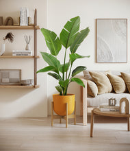 Load image into Gallery viewer, Sunset Orange stand:bamboo