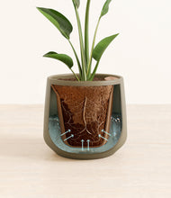 Load image into Gallery viewer, Olive stand:all