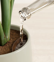 Load image into Gallery viewer, Turquoise stand:all