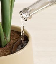 Load image into Gallery viewer, Almond Green stand:all